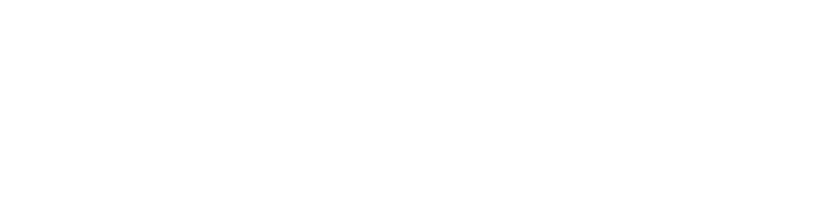 BISapient